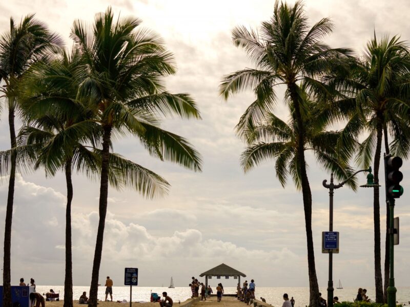 Palm trees blowing in the wind with clouds in the background.