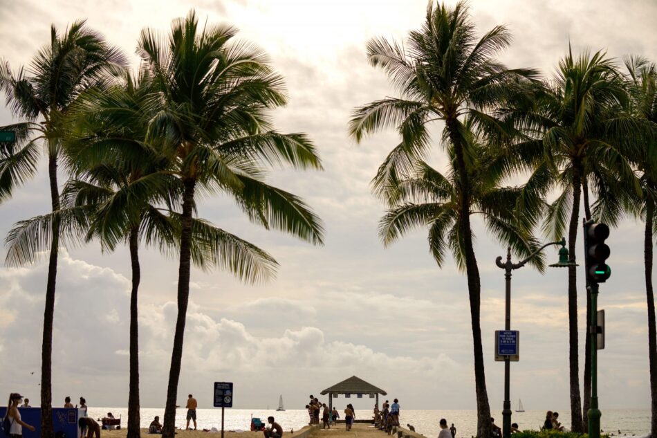 Palm trees blowing in the wind with clouds in the background.